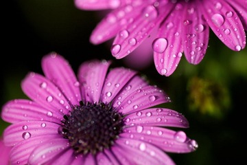 IMG_1243.jpg