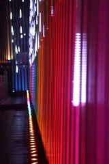 雁塔之夜