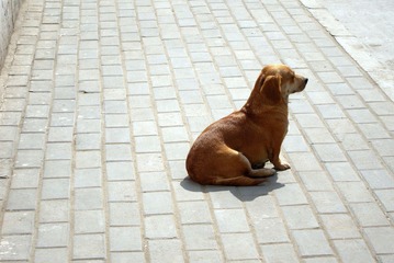 IMG_0001-2.JPG