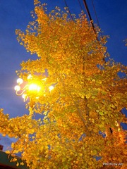 IMG_0013.JPG