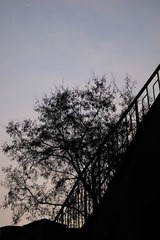 1-IMG_0047-2.jpg