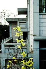2-IMG_0087-001-2.jpg