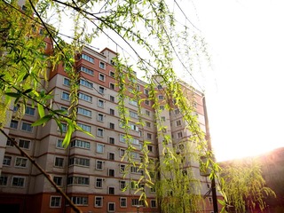 1-IMG_0005-2.jpg