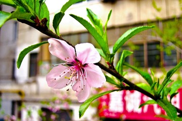 2-IMG_0004-001-2.jpg