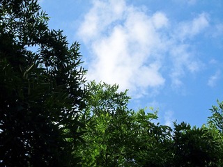 2-IMG_0020-001-2.jpg