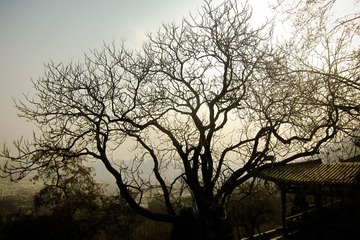 1-IMG_0008-2.jpg