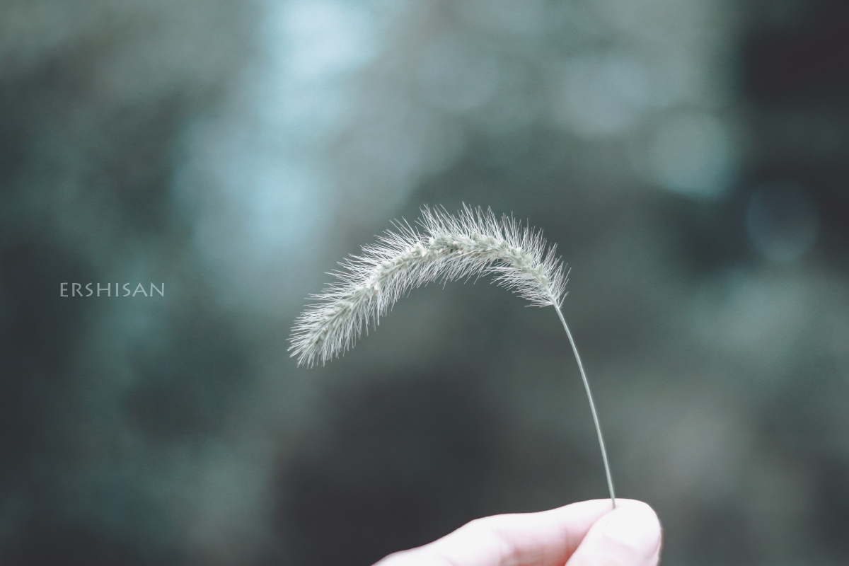 我是个俗气至顶的人