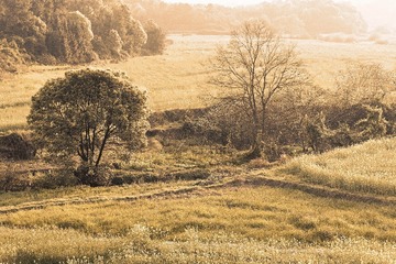 _MG_5989_DxO