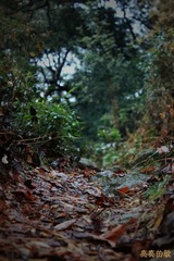 小小山村