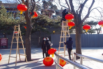 大鱼