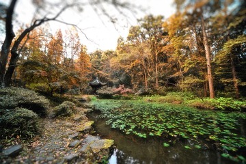 DSC_8051.jpg