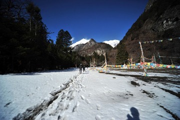 DSC_6598.jpg