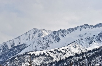 DSC_6019.jpg