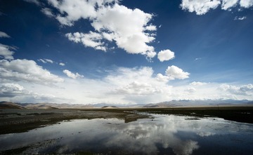 DSC_7256.jpg