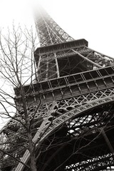 Paris (5).JPG