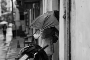 _MG_5818.JPG