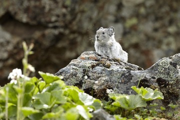 _MG_5501.jpg