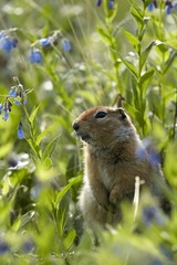 _MG_5506.jpg