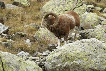 _MG_5525.jpg