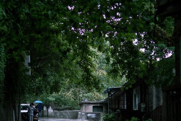 _MG_5563.jpg