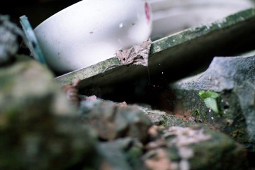 _MG_5597.jpg