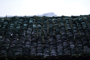 _MG_5670.jpg