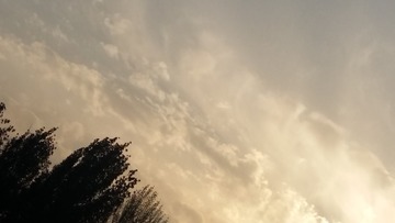 459926