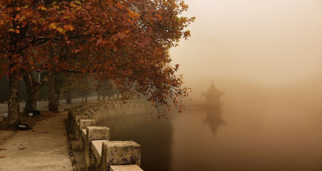芦林晨雾