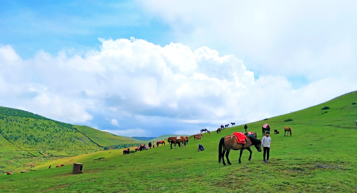 云南昭通大山包风景摄影