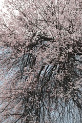 20122