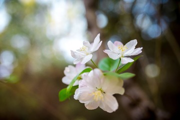 _DSC7850