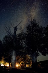 _DSC8108_2