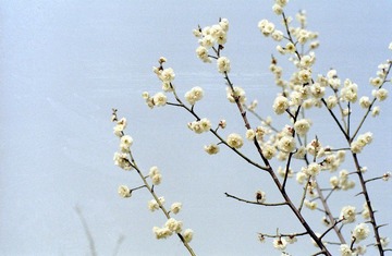 IMG0295.jpg