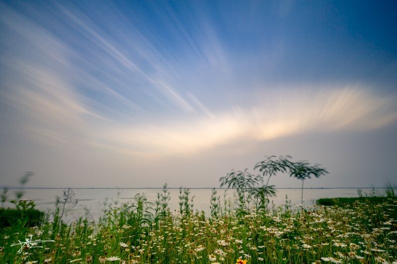 阳澄湖风光
