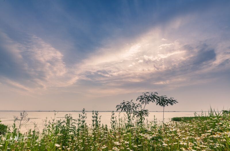 阳澄湖风光