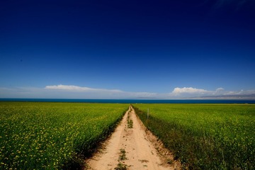 DSC_1926_0027