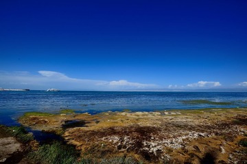 DSC_1933_0037