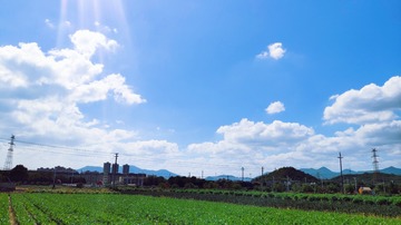683054