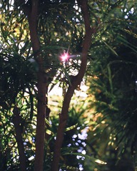 36290028.jpg