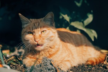 954430
