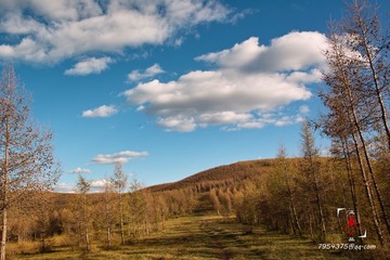 SDIM5073