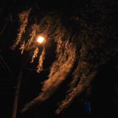 20110714