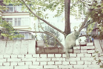 20110904.jpg