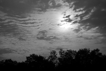 20110905.jpg
