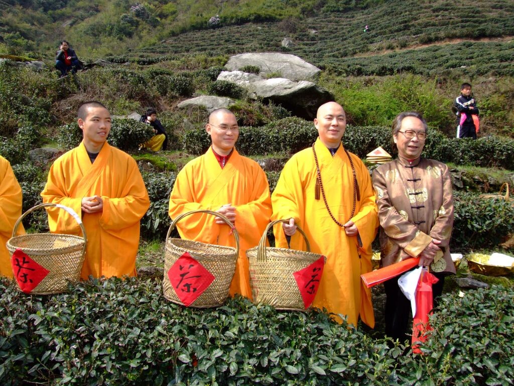 开采春茶仪式