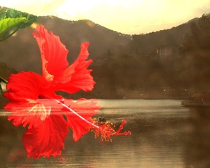 3DSCF6190
