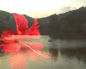 4DSCF6193