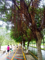 雨后即景