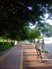 阳光绿道