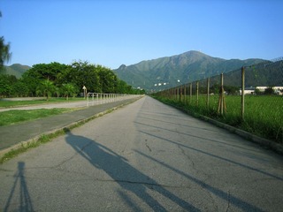 5延伸